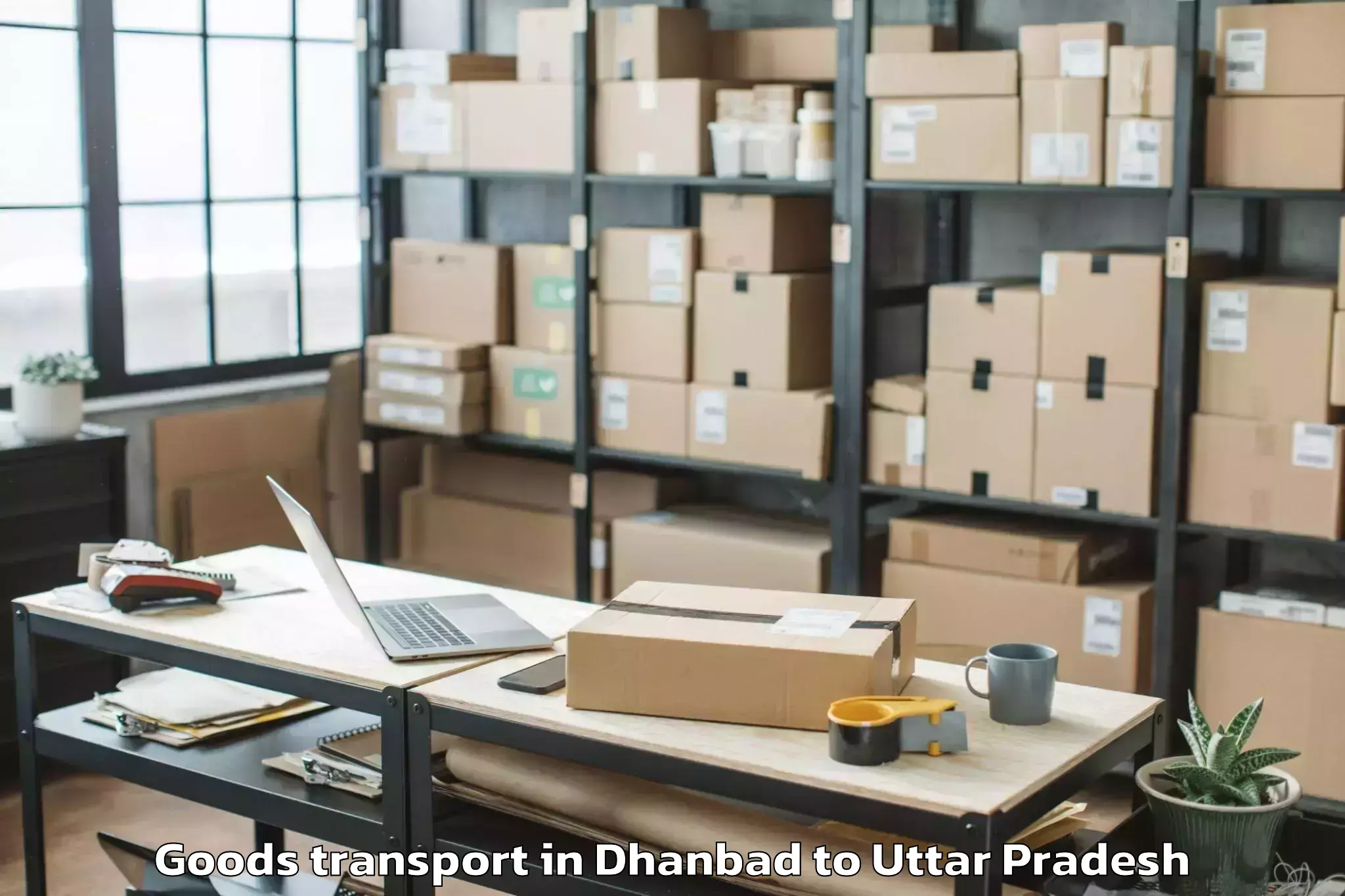 Book Dhanbad to Narauli Goods Transport Online